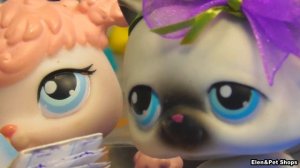 LPS: ТОЛСТАЯ КРАСАВИЦА 33 серия