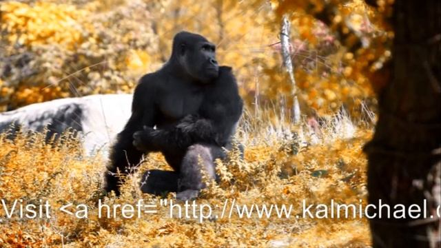 2013 ЭТОТ ПРЕКРАСНЫЙ МИР смотреть онлайн