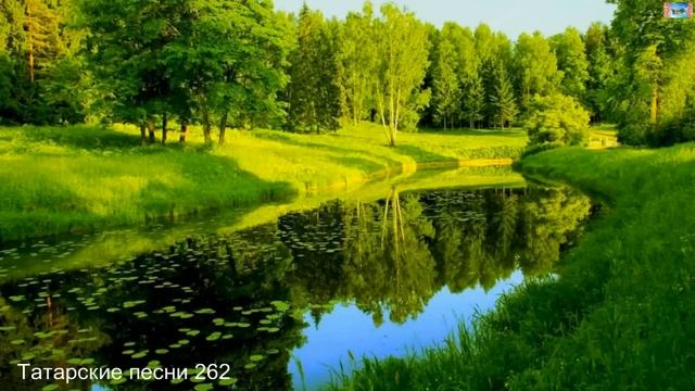 Татарские песни 262