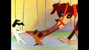 Котёнок по имени Гав