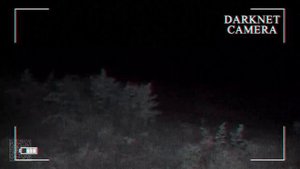 Не ищите Эль Примо в 3 часа ночи | RYTP