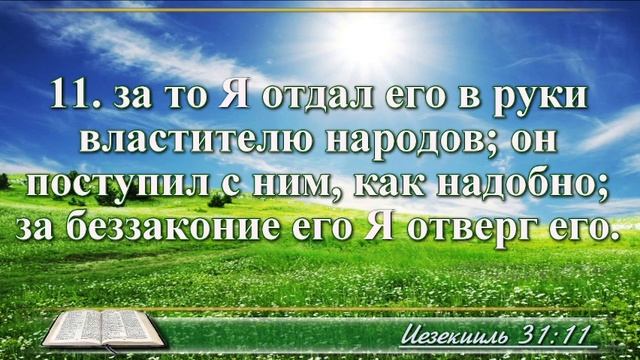 ВидеоБиблия Книга пророка Иезекииля без музыки глава 31 Соколов смотреть онлайн