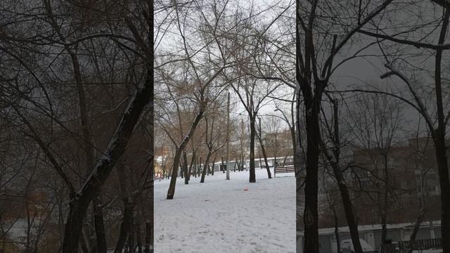 Мой Красноярск смотреть онлайн