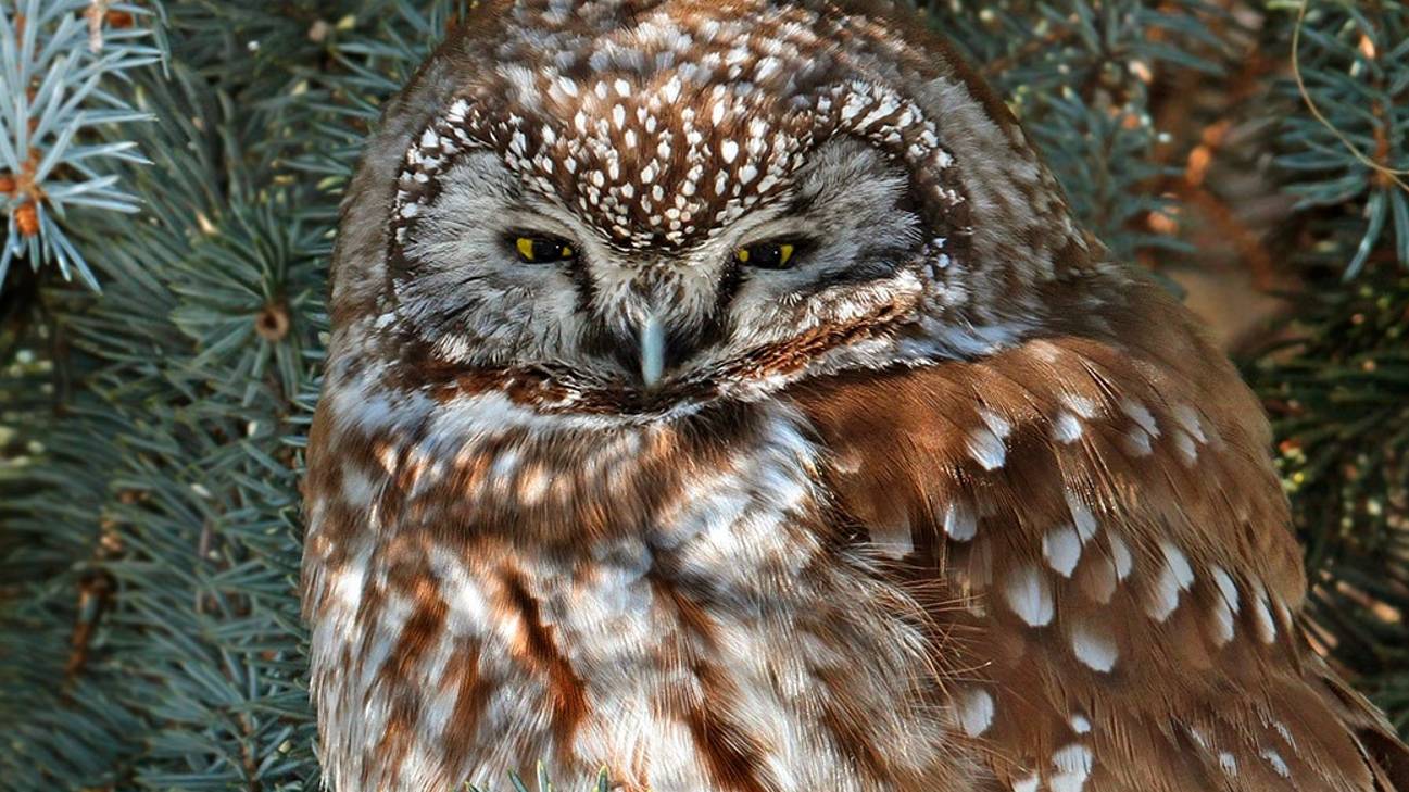 кто убийца?????????????