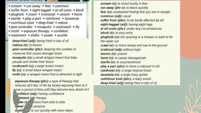 aspect 10 unit 5 Les Arachnophobia смотреть онлайн