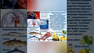 Арктик Си Форевер