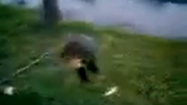 упал неудачник смотреть онлайн