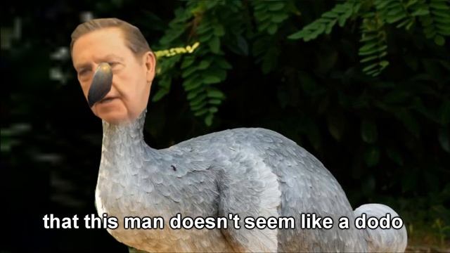I'm not a dodo смотреть онлайн