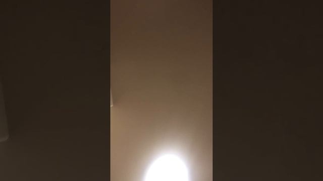 Century bob travels time and space
