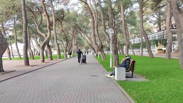 Геленджик. 23.11.2022. Центр города. Мысли вслух. Где отметить свой день рождения_