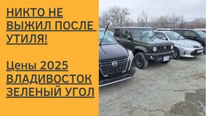 Никто не выжил после утиля! Цены на авто 2025! Владивосток. Зеленый угол.