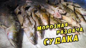 ТАКАЯ РЫБАЛКА Бывает ОДИН раз в ЗИМУ! Ушли от толпы и поймали КУЧУ СУДАКОВ Зимняя Рыбалка на Судака