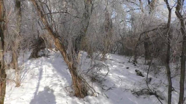 СНЯЛ НА КАМЕРУ ОЧЕНЬ РЕДКОЕ ЯВЛЕНИЕ - ИЗМОРОЗЬ!