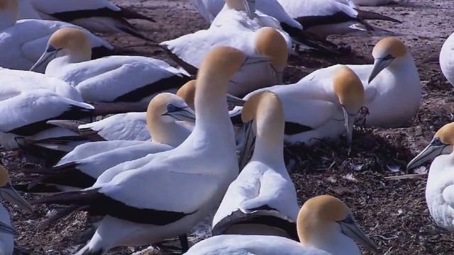 Живая природа моё 1 видео!