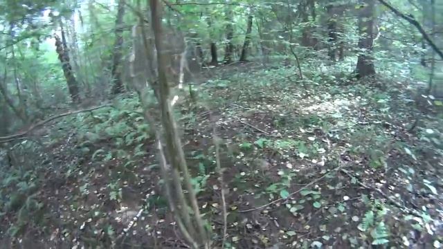 УДАЧНО ПОКОПАЛ В ЛЕСУ! Кладоискатель Белый Копатель
