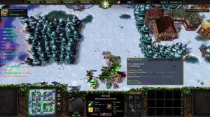 КАК ПОБЕЖДАТЬ НА ЛУЧШЕЙ РАСЕ  В  SURVIVAL CHAOS  WARCRAFT 3