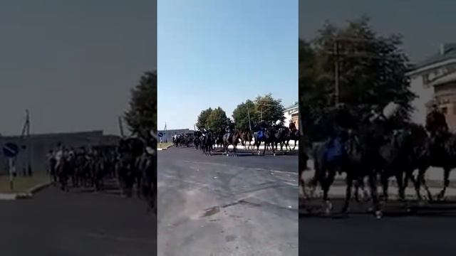 День АДЫГОВ 2017💪💪💪💪💪💪🐎🐎🐎 смотреть онлайн