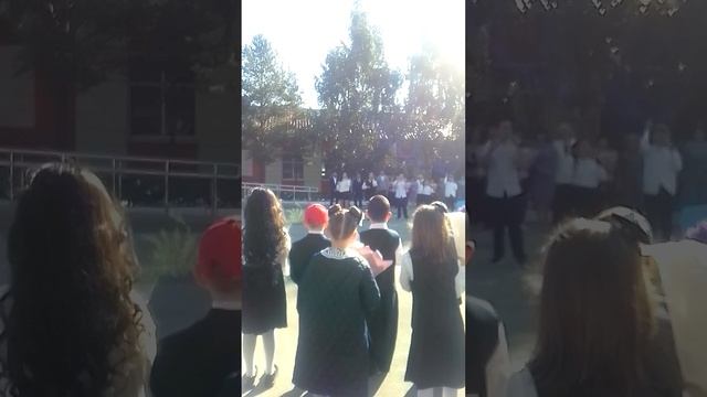 VID_20240902_101821.mp4