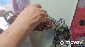 Домашний натуральный виноградный сок.