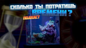 Сколько уходит времени на морской аквариум?