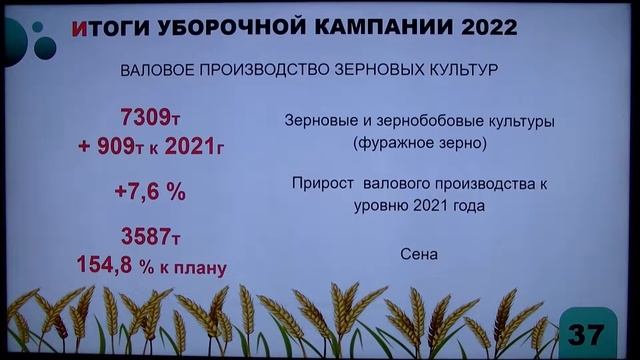 Отчеты замглавы. Земельно-имущественные отношения и экология смотреть онлайн