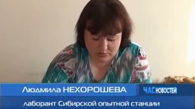 Новости Исилькульского филиала 03 04 15 смотреть онлайн
