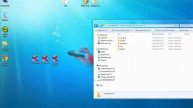 Обучающие видео портала вебмастеров рунета Pro Web Helper