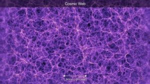 Космический взгляд. От атомных частиц, молекул и клеток до звёздных галактик.