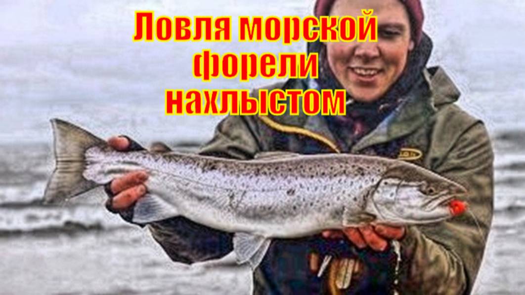 Пробуем новые воды - Ловля морской форели нахлыстом