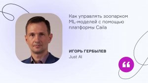 Just AI. Как управлять зоопарком ML-моделей с помощью платформы Caila