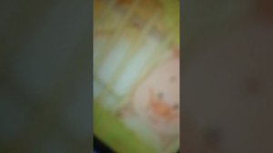 песня из мультика дора дора помидора