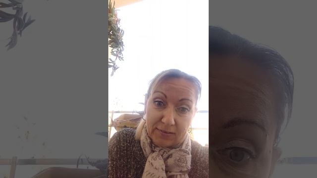 Попытка закончить курсы онлайн. Значимость родителей в нашей жизни. смотреть онлайн