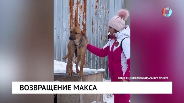 Возвращение Макса