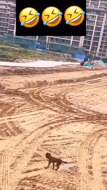 Когда получил зарплату и идёшь домой 🤣🤣🤣 смотреть онлайн