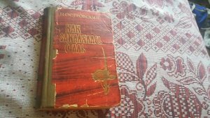 впечатление о книге Как закалялась сталь