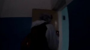 Мы нашли логово. Рейка. В заброшке