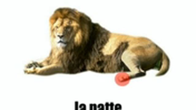 урок французского языка = Лев смотреть онлайн