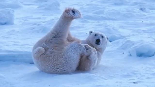 Левша смотреть онлайн