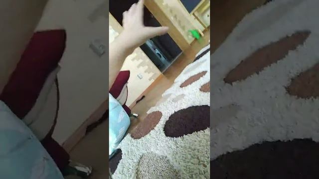 Котенок и лазерная пушка