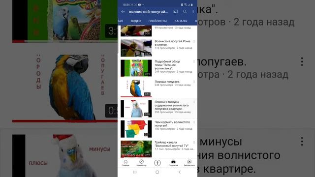 Подпишитесь на канал волнистый попугай TV 💞💞💞💞 смотреть онлайн