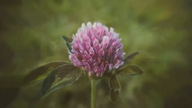 Мир вокруг нас смотреть онлайн