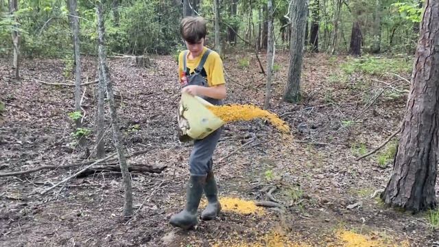 Attract Wild Hogs and Deer from Miles Away with This! смотреть онлайн