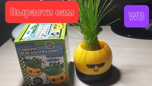 Покупки с Валберис 💜 вырасти свое растение