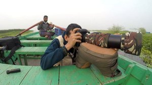 Nikon D500 & Nikon 200-500 mm f/5.6 Lens for Bird Photography!