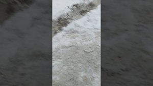 Гранта зеркала на киа спектра