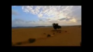 Французский Иностранный Легион