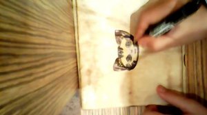 Вызов чеширского кота