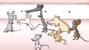 Playway to English 2 video 1/3