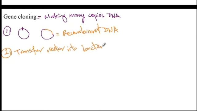 Recombinant DNA and Biotechnology | Biology 4 | Part 1