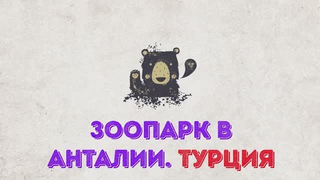 Зоопарк Анталии смотреть онлайн